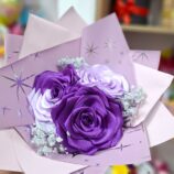 00ffcc38-30f5-4320-bc13-8cfbc32b3603