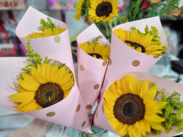 08e9d22a-8adf-48ab-8381-d079df2e8011 08e9d22a-8adf-48ab-8381-d079df2e8011