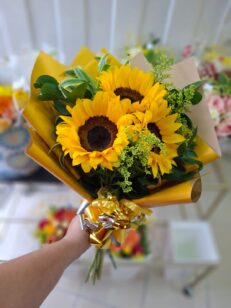 Girasol en empaque de Lujo x3