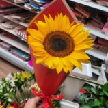 eb21230f-ebdf-49d3-89f6-6da2dbe92b29