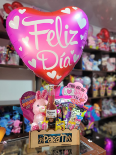 Imagen19