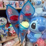 17ab13e0-ef76-41af-aa56-eaf5d718cc24