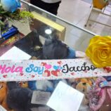 79483d20-e15e-4102-9480-4599091ab0b2