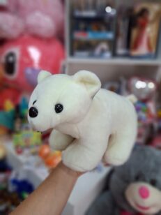 Oso Polar