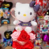 d60beb9b-6e07-4580-9cb4-d3f891d83588