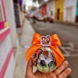 01faadce-ce27-497f-b928-37bd22e68904