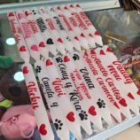 3d339927-d828-422c-9101-4f4dc4ccb90e