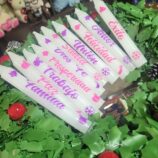 5748685c-ddc7-46c2-a90e-6dc9a2d040ed