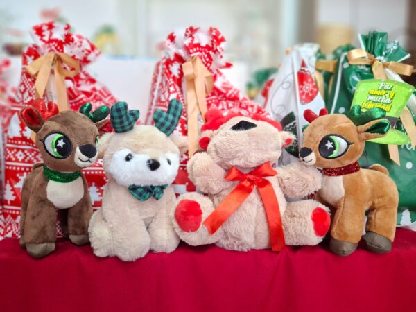 7cab99ed-504e-4e9f-8f01-f96c2f7a6b4b