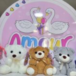 81c435dc-b25d-4b1f-9e7f-e70dfec6ca12