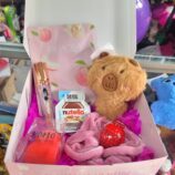 e43e55da-f76d-4a68-9bfb-820af997d260