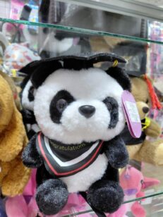 Panda grado 22cm