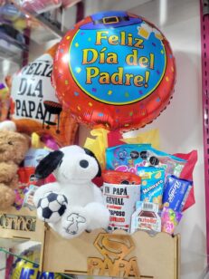 Ancheta snopy futbolero